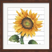 Happy Sunflower II Fine Art Print