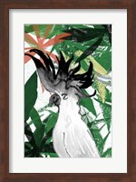 Hidden Cockatoo Fine Art Print
