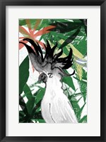 Hidden Cockatoo Fine Art Print