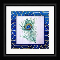 Peacock Feather II Framed Print