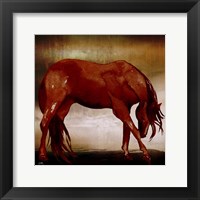 Red Horse I Fine Art Print