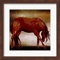 Red Horse I Fine Art Print