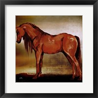 Red Horse II Framed Print
