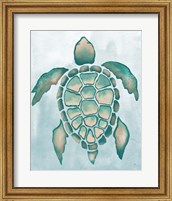 Aquatic Turtle I Fine Art Print