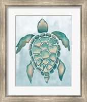 Aquatic Turtle I Fine Art Print
