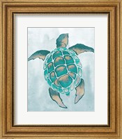 Aquatic Turtle II Fine Art Print