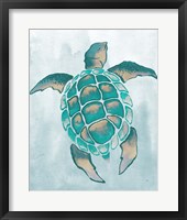 Aquatic Turtle II Fine Art Print