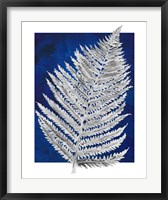 Blue Fern in White Border II Fine Art Print
