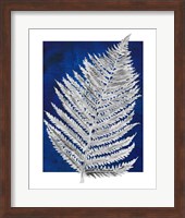 Blue Fern in White Border II Fine Art Print