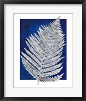 Blue Fern in White Border II Framed Print