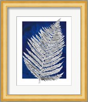 Blue Fern in White Border II Fine Art Print