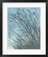 Tall Grasses on Blue I Fine Art Print