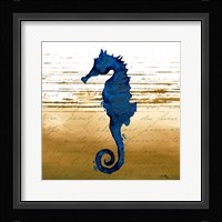 Coastal Blue III Framed Print