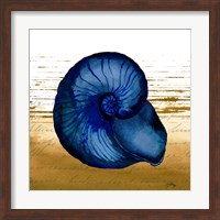 Coastal Blue IV Fine Art Print