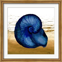 Coastal Blue IV Fine Art Print