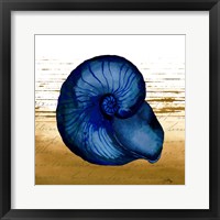 Coastal Blue IV Fine Art Print