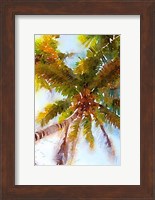 Watercolor Palms II Fine Art Print