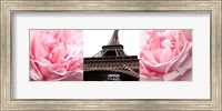 Pink Roses Eiffel Tower Fine Art Print