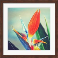 Tropical Floral II Fine Art Print