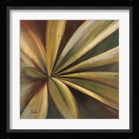 Abanico I Framed Print