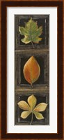 Three Leaves II Fine Art Print