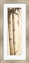 Sepia Guadua Bamboo I Fine Art Print