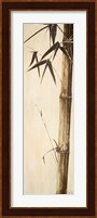 Sepia Guadua Bamboo II Fine Art Print