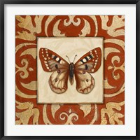 Moroccan Butterfly I Fine Art Print