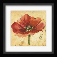 Poppy IV Framed Print