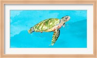 Green Turtle on Light Blue Fine Art Print