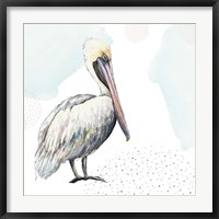 Turquoise Pelican Fine Art Print
