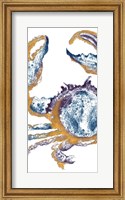 Surf Side Golden Blue Crab Fine Art Print