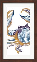 Surf Side Golden Blue Crab Fine Art Print