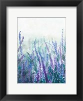 Lavender Garden I Fine Art Print