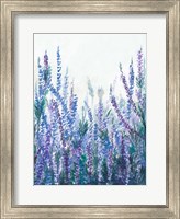 Lavender Garden II Fine Art Print