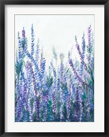 Lavender Garden II Fine Art Print
