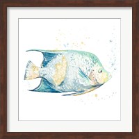 Pescado Azul Square Fine Art Print