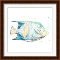 Pescado Azul Square Fine Art Print