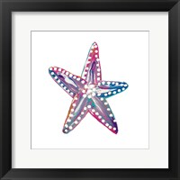 Dotted Starfish I Fine Art Print