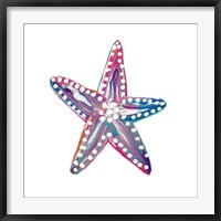 Dotted Starfish I Fine Art Print