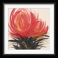 Clover II Framed Print