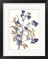 Indigo Flowers Framed Print
