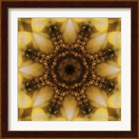 Colorful Kaleidoscope 4 Fine Art Print