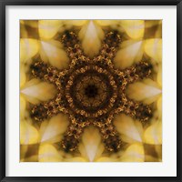 Colorful Kaleidoscope 4 Fine Art Print