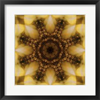 Colorful Kaleidoscope 4 Fine Art Print