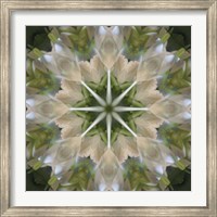 Colorful Kaleidoscope 5 Fine Art Print