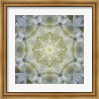 Colorful Kaleidoscope 15 Fine Art Print