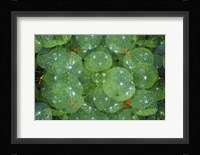 Colorful Kaleidoscope 16 Fine Art Print