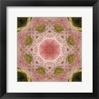 Colorful Kaleidoscope 20 Fine Art Print