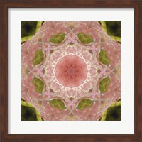 Colorful Kaleidoscope 20 Fine Art Print